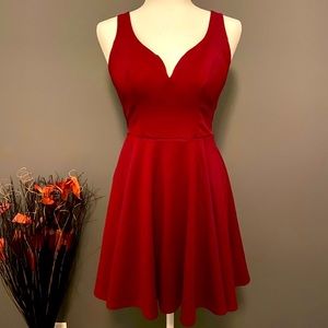 Maroon Skater Dress